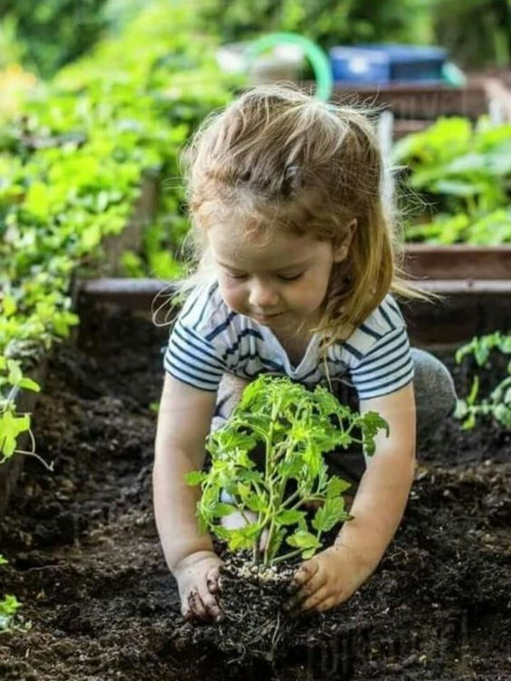 Enfant qui plante dans un jardin miniature / visiondeco